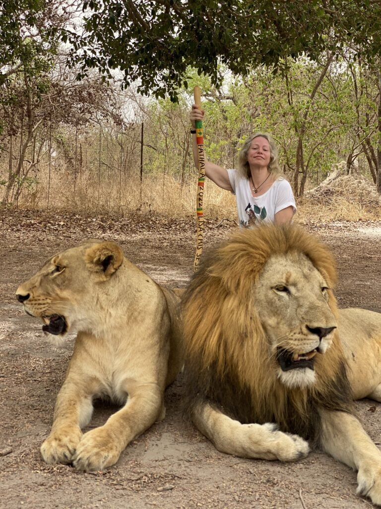 Excursion à Toubacouta 1 - Marche avec les lions - Travelwithziggy - Voyage - Excursion au Sénégal