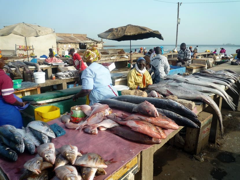 marché poisson